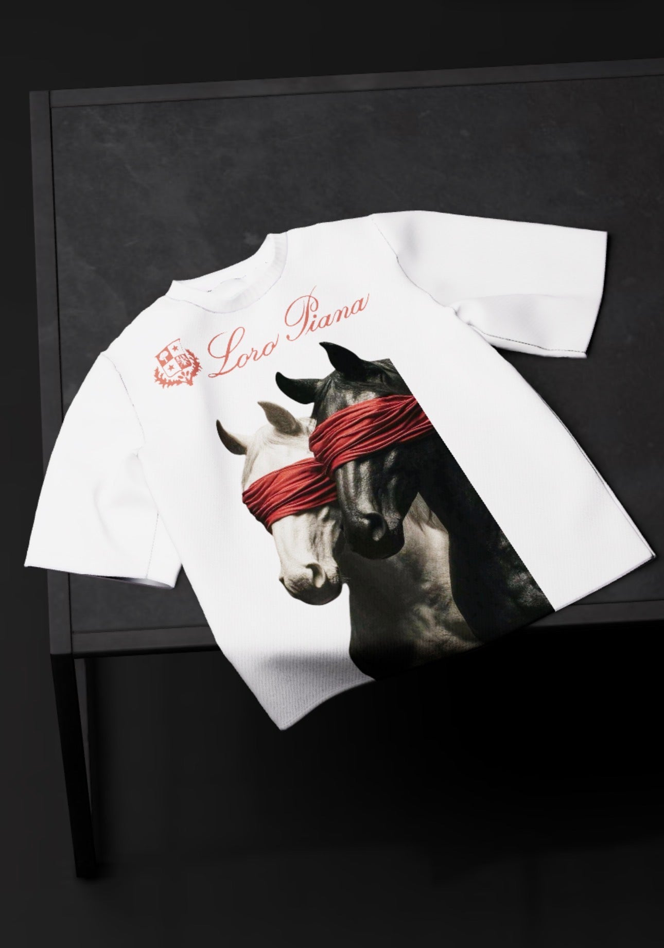 Loro Piana “ACCECATI” Oversized T-Shirt